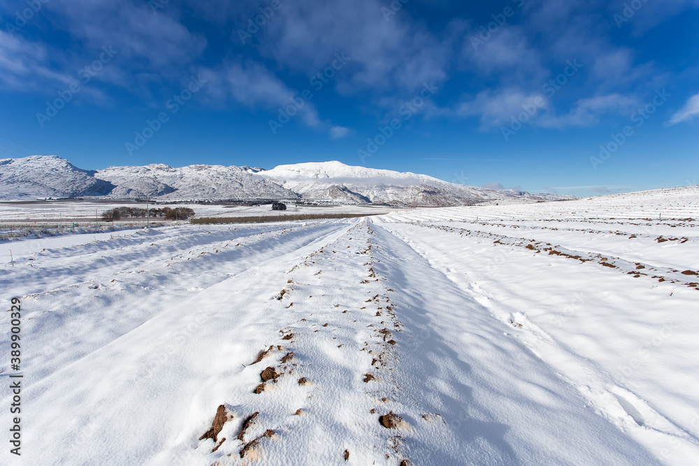 Wide agle view of a ploughed farmland on a hill covered in thick snow with matroosberg Mountain on the horizon close to Ceres in the Western Cape of South Africa