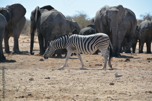 Namibia