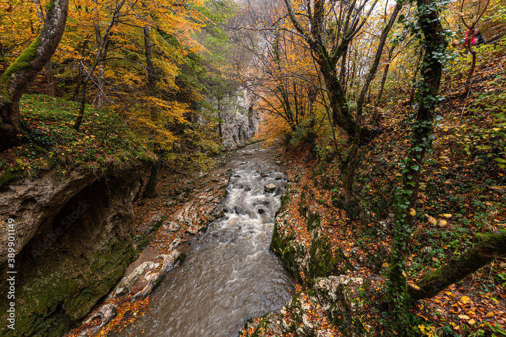 Bigar Waterfall in the Romanian mountains - amazing view of one of the most beautiful waterfalls in Europe during an autumn day with great fall colors