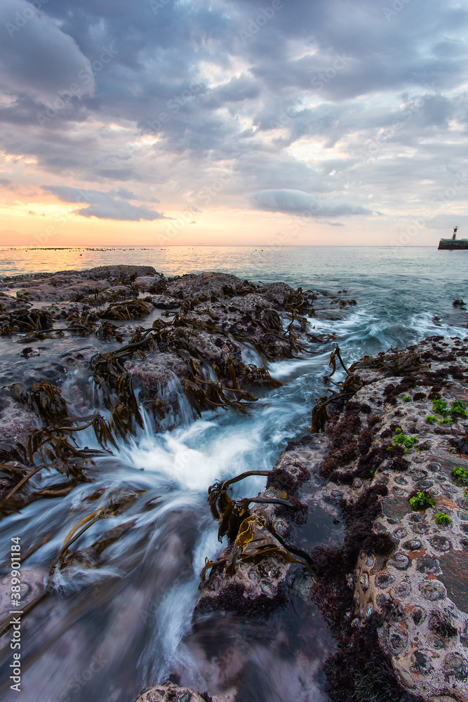 Obraz premium Wide angle vertical view of the rocks outside Kalkbay harbour that is covered in kelp and seagrass in Cape Town in the Western Cape of South Africa