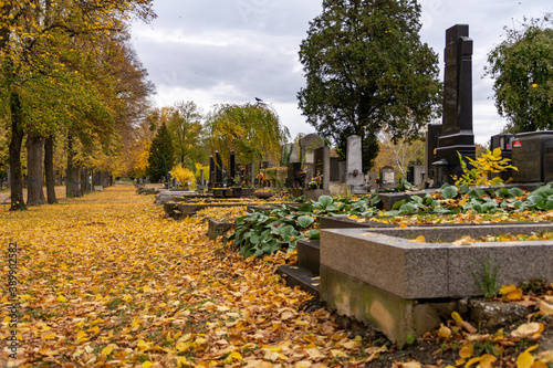Image of the Vienna Central Cemetery on the All Souls' Day. The Vienna Central Cemetery is one of the largest cemeteries in the world, with over 300.000 interred.