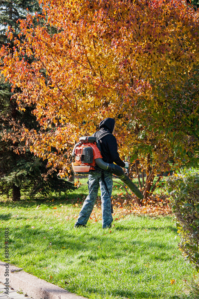 Man operating a heavy duty leaf blower: the leaves are being swirled up and glow in the pleasant sunlight Man operating a heavy duty leaf blower: the leaves are being swirled up and glow in the pleasant sunlight