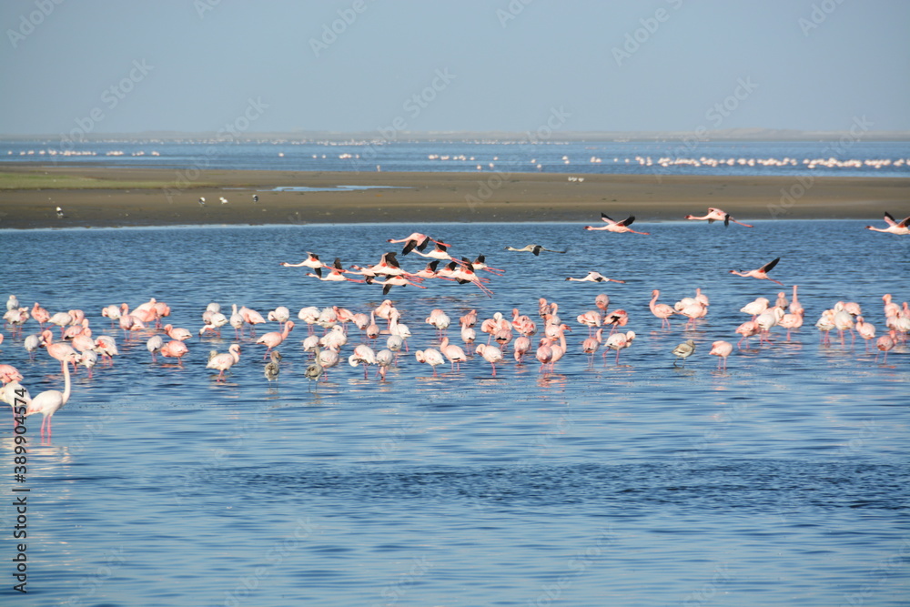 Naklejka premium Namibia