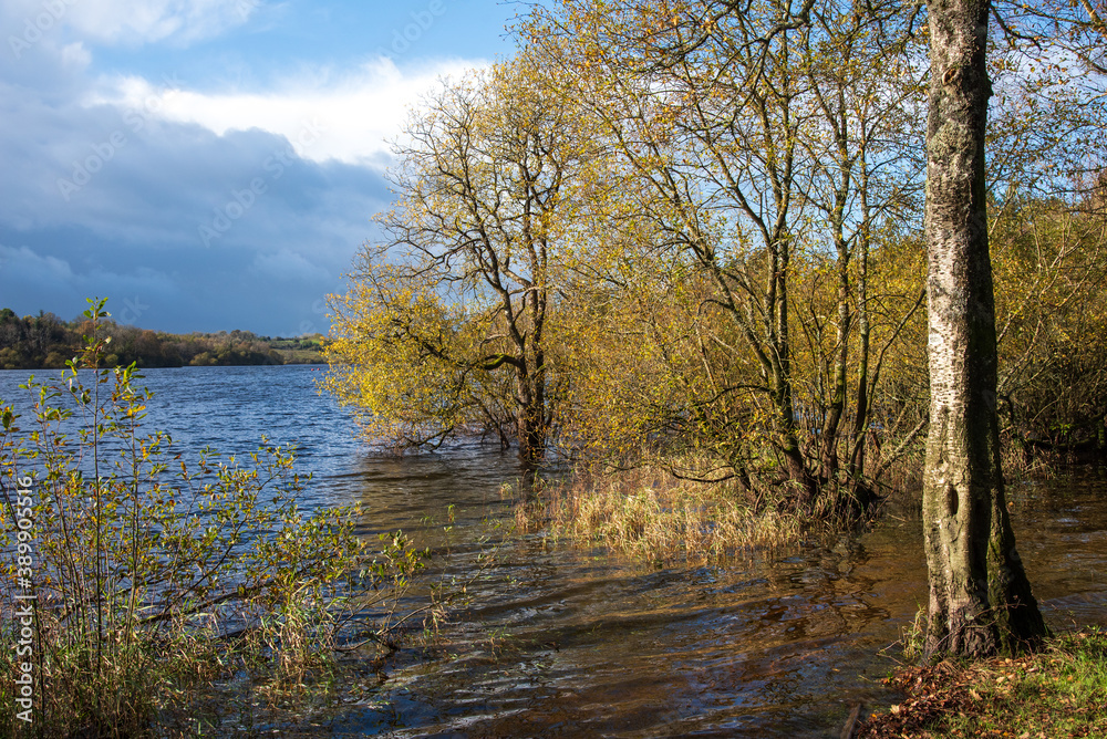  Killykeen Forest Park and Lake Oughter