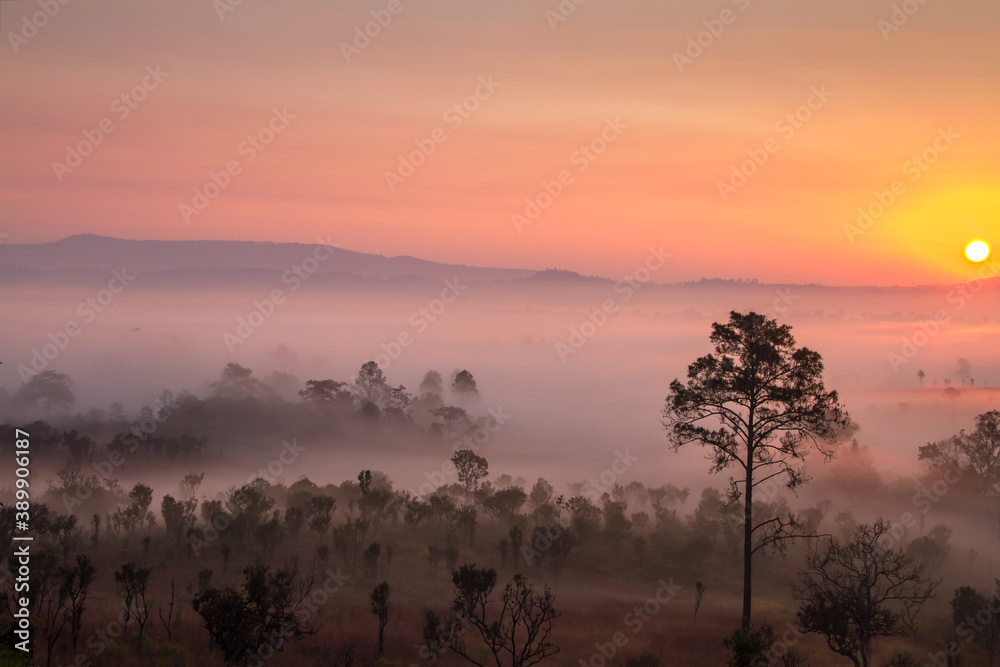 sunrise in the mountains with fog morning