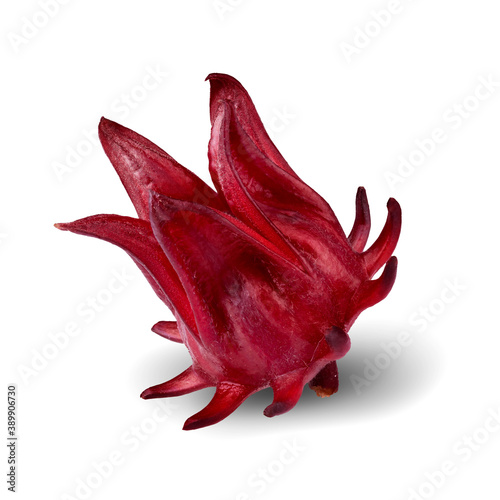 Rosella, Jamaican sorel, Red sorrel isolated on white background.