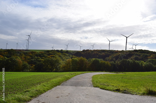 Windräder im Herbst photo