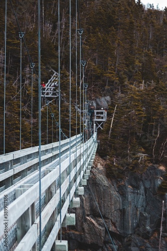 wooden suspension bridge over the river in lamanche park, newfoundland, canada photo