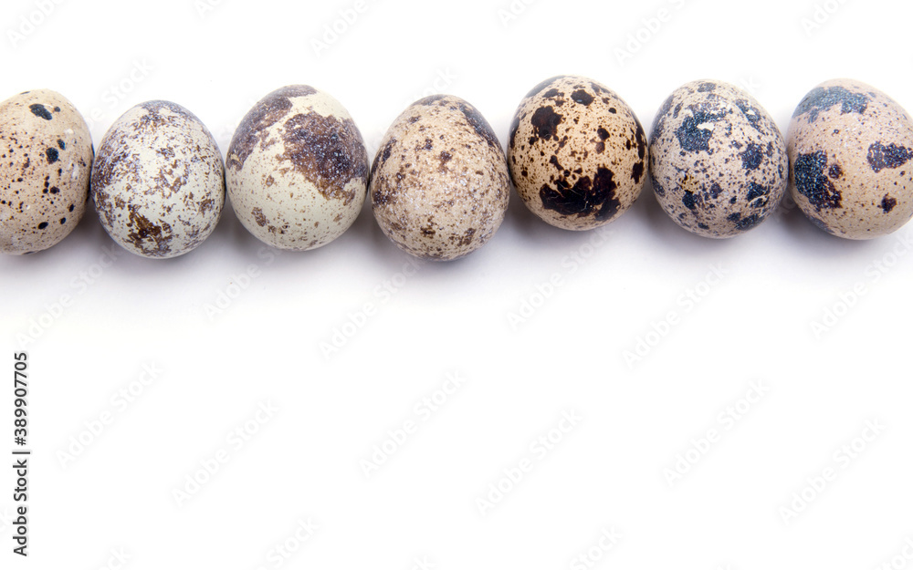Quail eggs laid out in a single line, close-up on a white background, copy space,