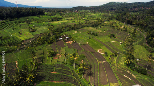 Large agricultural fields in exotic country