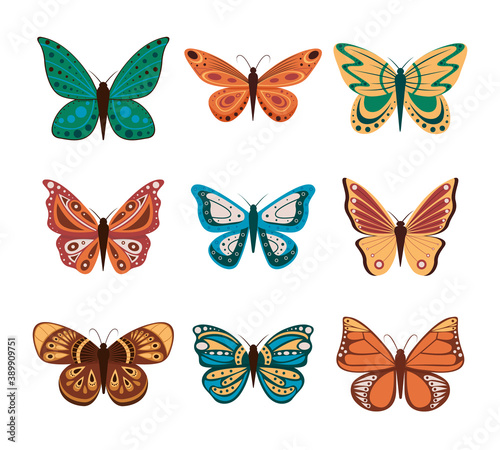 Vector illustration of cartoon butterflies isolated on white background. Abstract butterflies, colorful flying insect. © denis08131