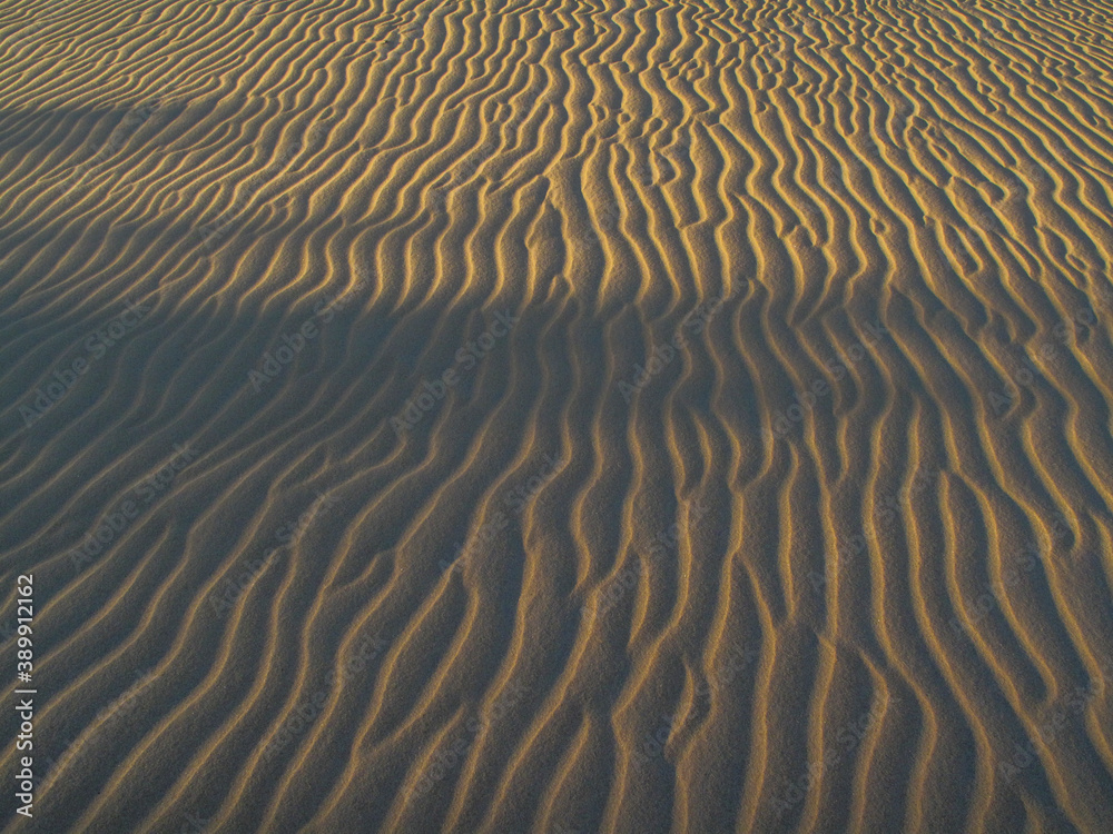 Obraz premium ripples in the sand