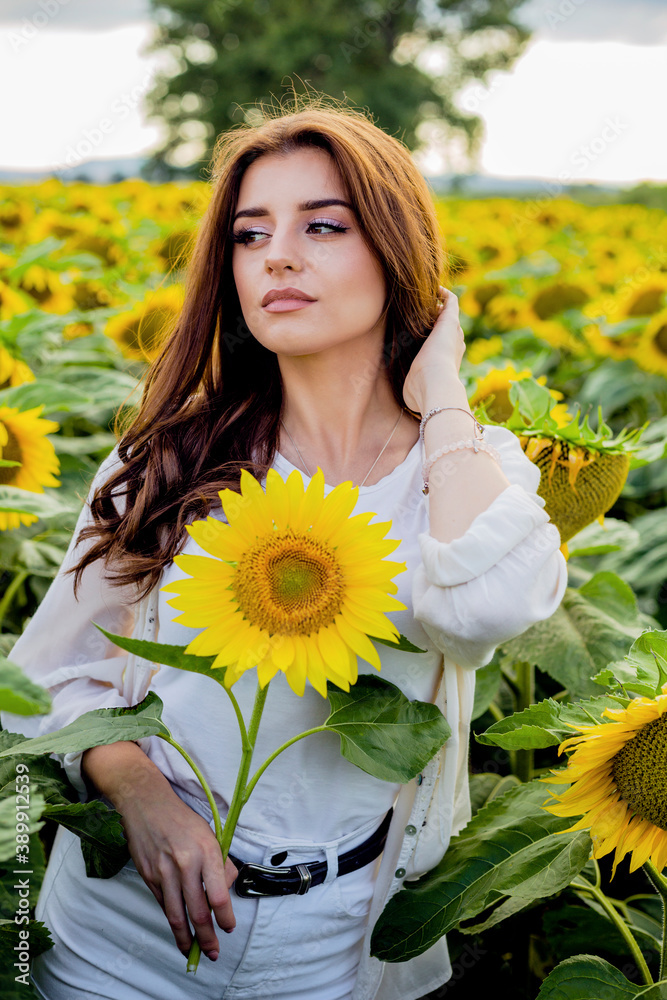 woman in the sunflower field woman in the sunflower field