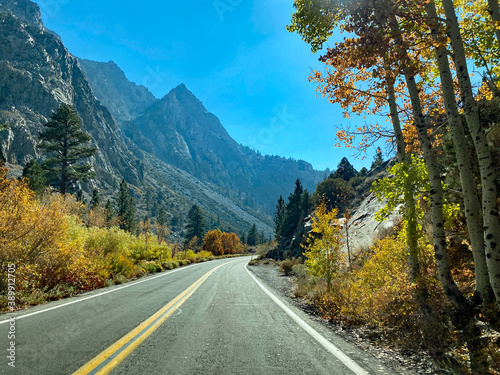 Long highway extends between pine trees and trees with changing leaves in autumn