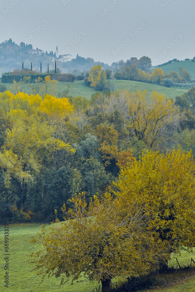 View of the meadows with rural church in the background