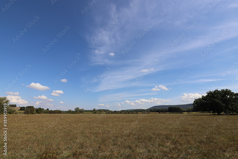 Big wide lush green meadow with a beautuful blue sky and fluffy clouds.