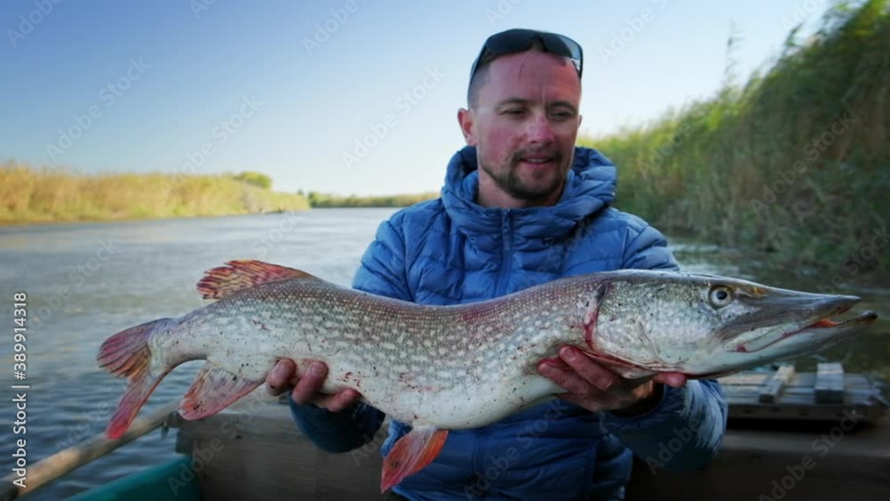 Angler with fish. Fisherman holds trophy pike fish (Esox lucius) being in the boat on a river Angler with fish. Fisherman holds trophy pike fish (Esox lucius) being in the boat on a river