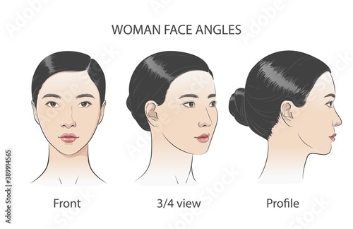 Asian korean women portrait three dimension angles. Vector illustration