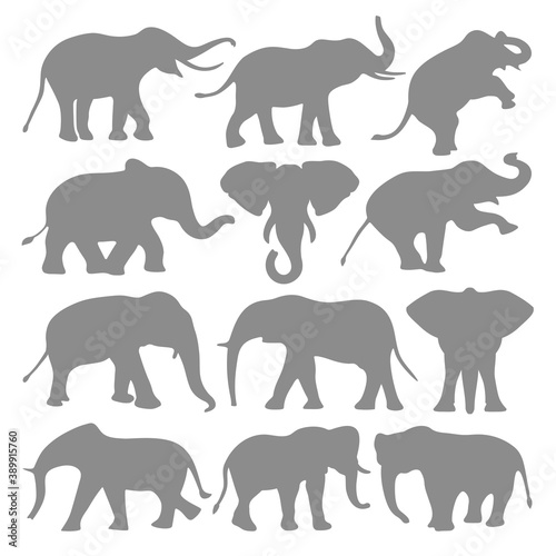 Elephant Silhouette Vector Collection  photo