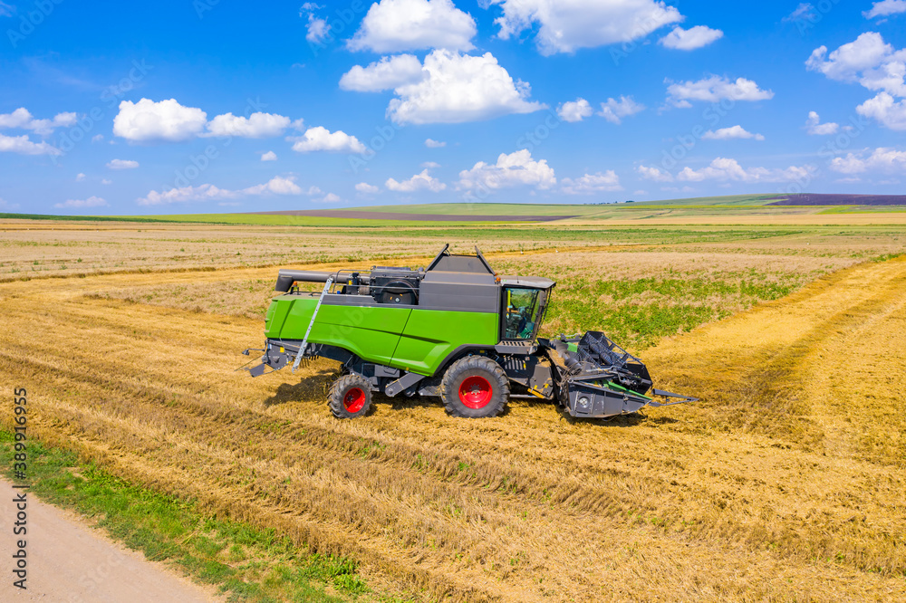 Fototapeta premium Combine harvester working in wheat field