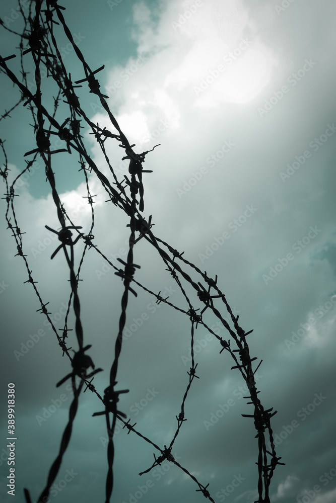 Barb wire fence.