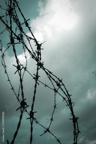 Obraz na płótnie Barb wire fence. w salonie