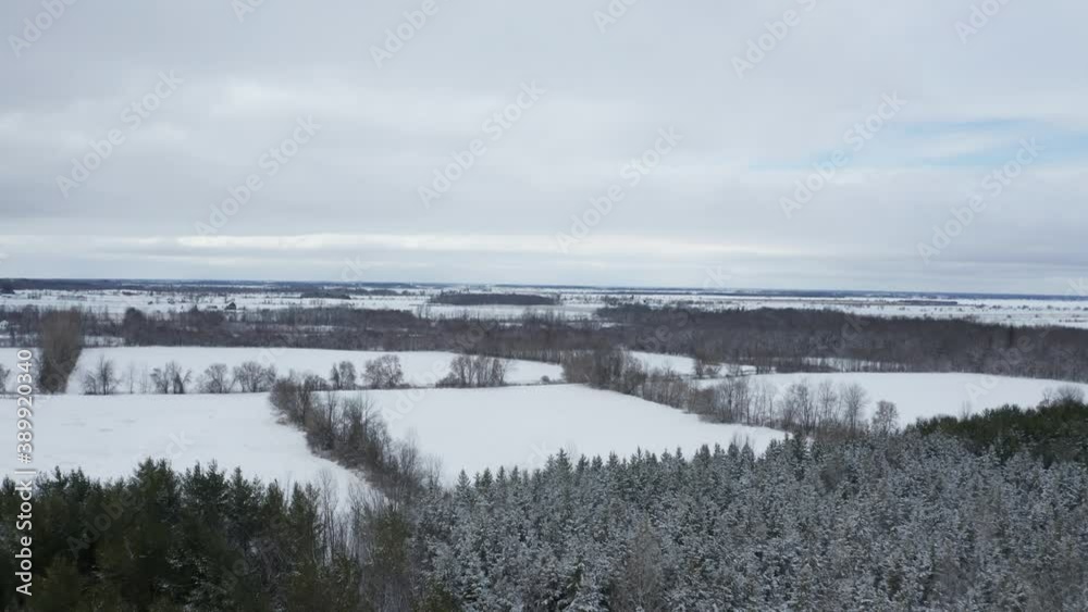 Pine trees covered in fresh snow seen from drone flying toward empty farm fields and ground blanketed in white snow. Winter scenery with flat terrain and cloudy sky. Cold weather of the north. Pine trees covered in fresh snow seen from drone flying toward empty farm fields and ground blanketed in white snow. Winter scenery with flat terrain and cloudy sky. Cold weather of the north.