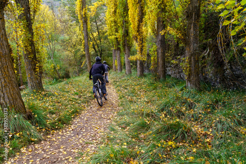 Chicos en bicicleta por un camino rural en otoño con sendero cubierto de hojas y árboles amarillos y verdes.