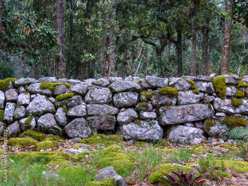 Different sections of a very old stone wall covered in moss, at the hilsidel of the Iguaque mountain in the central Andes of Colombia.