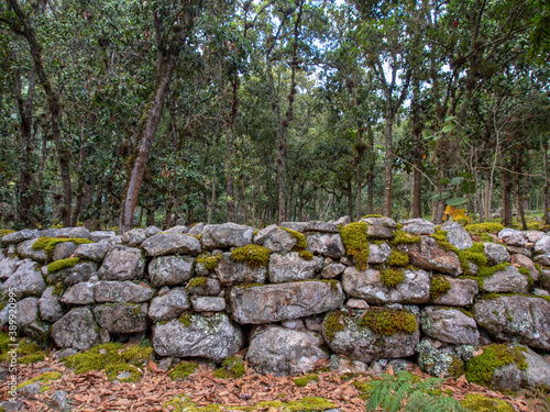 Different sections of a very old stone wall covered in moss, at the hillside of the Iguaque mountain in the central Andes of Colombia.