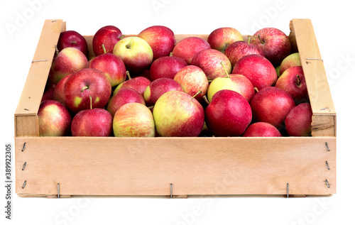 heap of apples in wooden box isolated on white background