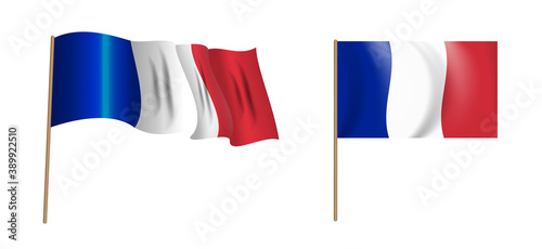 colorful naturalistic waving flag of France. Vector Illustration