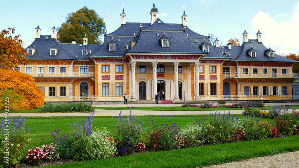 Fototapeta premium malerisches Schloss Pillnitz im chinesischem Stil und Wiese mit Blumen unter blauem Himmel