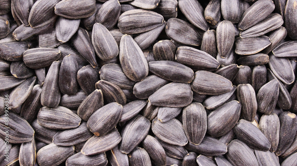 Background from black large seeds Background from black large seeds