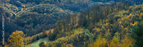 Panorama of autumn forest landscape 