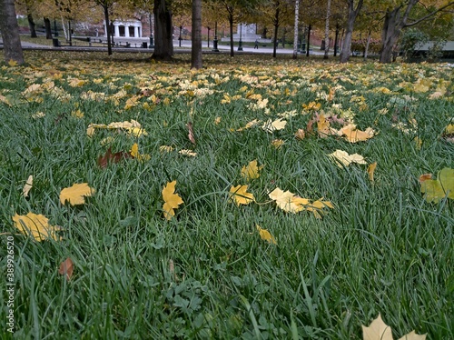 autumn