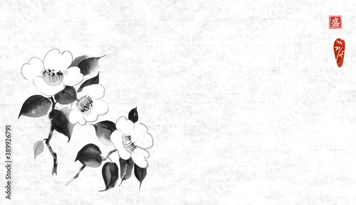 White camelia flowers on rice paper background with place for your text. Traditional oriental ink painting sumi-e, u-sin, go-hua. Translation of hieroglyph - blossom