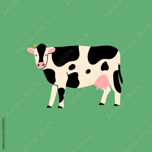 Cute Cow or Calf standing and looking in camera. Hand drawn colored trendy Vector illustration. Funny character. Cartoon style. Flat design. Rural farm Animals concept. Isolated on green background