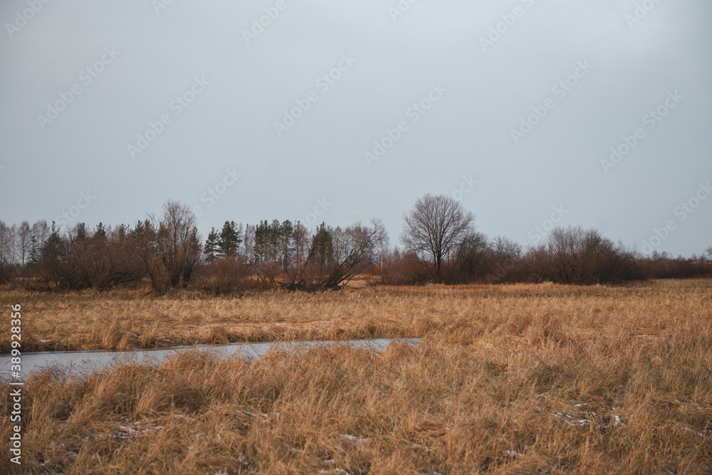 Fototapeta premium Field in the late autumn