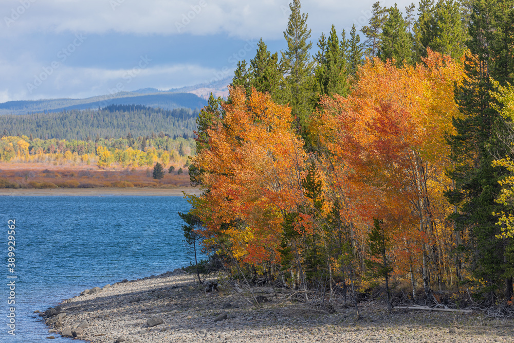 Beautiful Autumn Landscape in the Tetons Beautiful Autumn Landscape in the Tetons