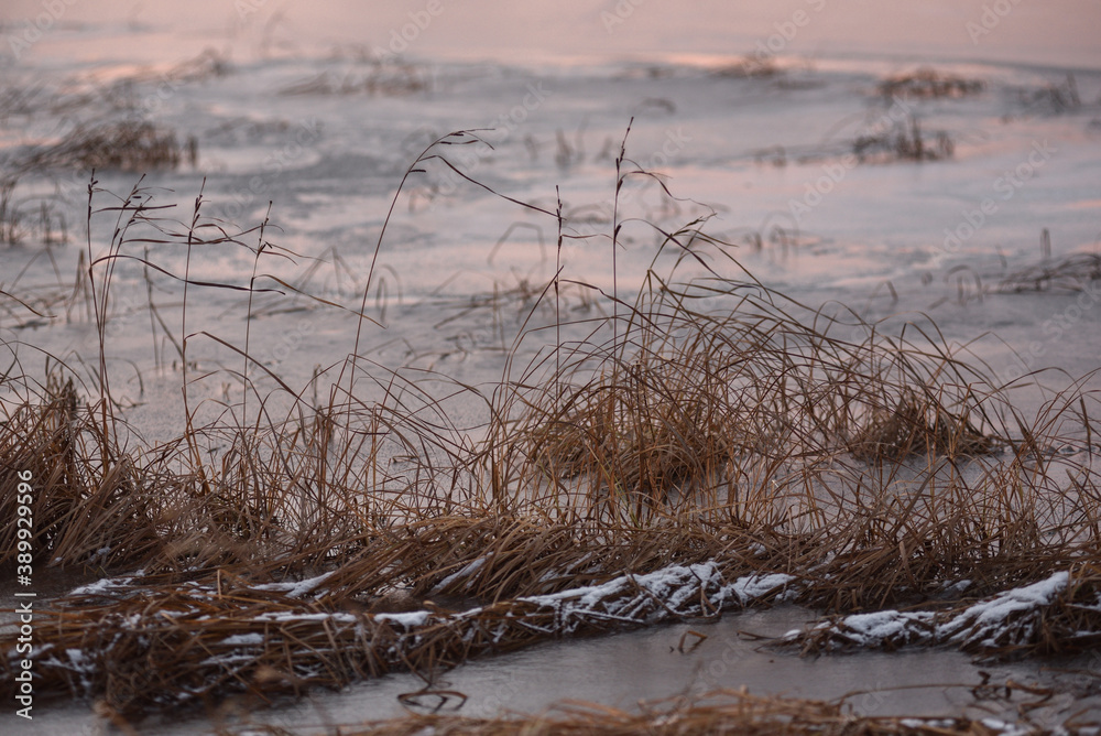 Lake by the late autumn