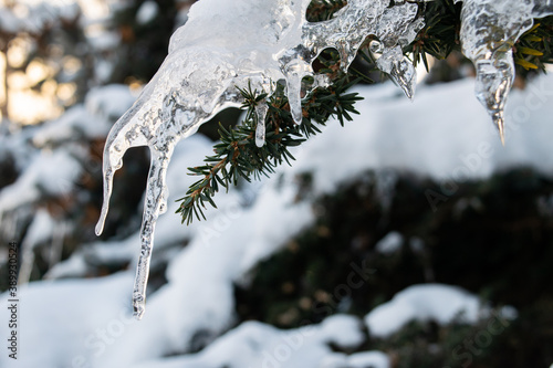 icicle tree