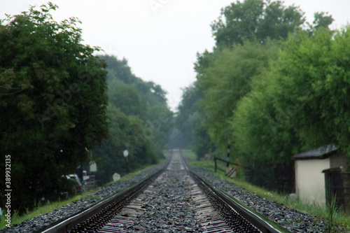 Primer plano de una vía del tren en un día de lluvias. Una vieja vía del tren que discurre entre vegetación y que se dirige recta al horizonte en un oscuro día de lluvia junto a Olimp en Rumanía.