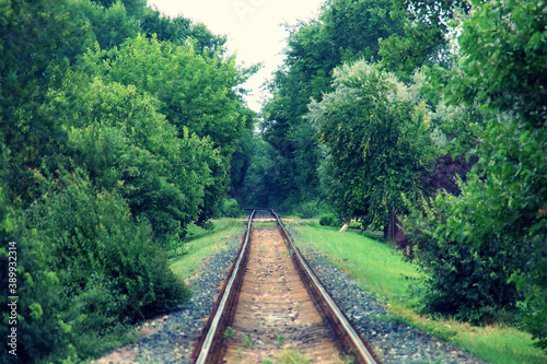 Primer plano de una vía del tren en un día de lluvias. Una vieja vía del tren que discurre entre vegetación y que se dirige recta al horizonte en un oscuro día de lluvia junto a Olimp en Rumanía.