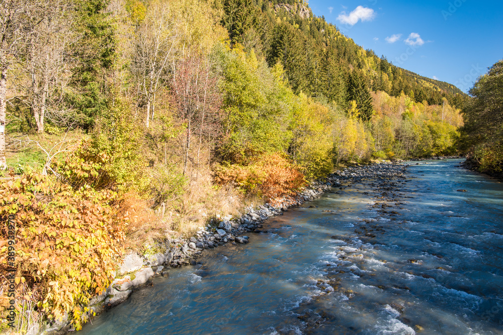Autumn trees in Chamonix French Alps Autumn trees in Chamonix French Alps