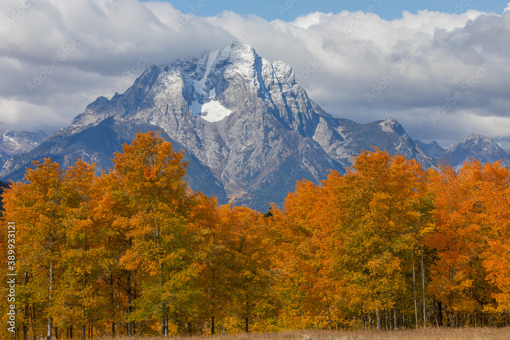 Beautiful Autumn Landscape in the Tetons