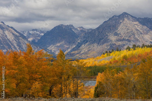 Beautiful Autumn Landscape in the Tetons