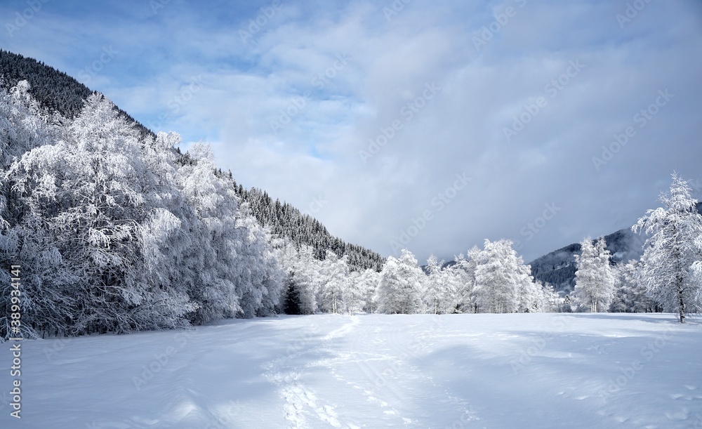 Obraz premium Winter