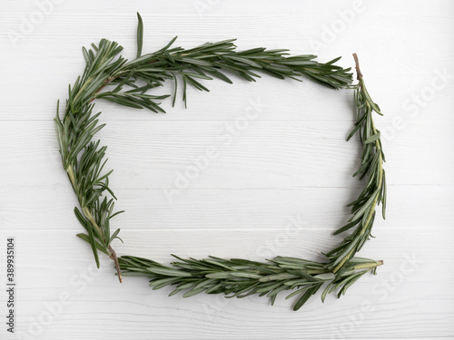 Rosemary sprigs in the form of a frame on a white background with space for text. Layout  template.