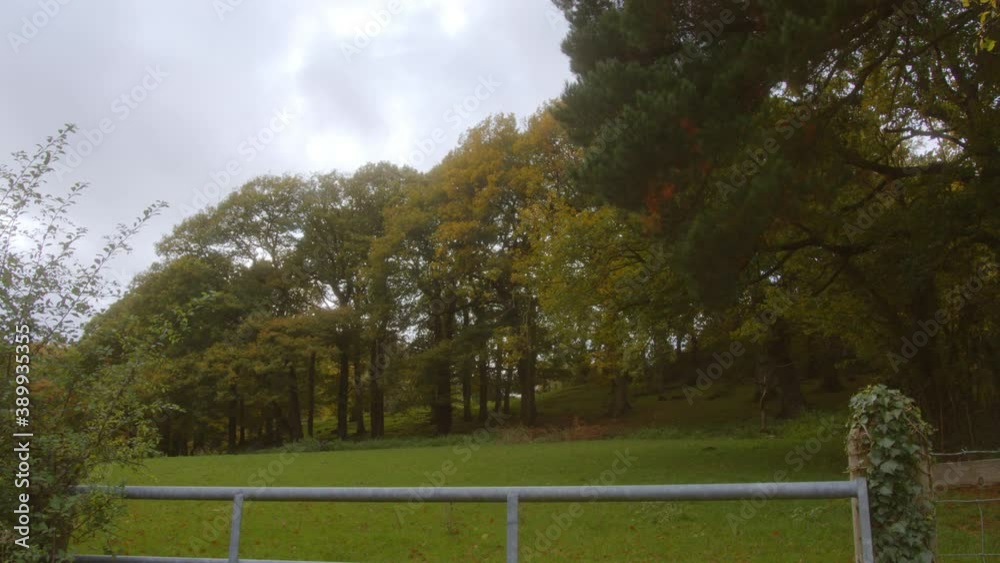 Slow Zoom Rural Scene including trees and gate, autumnal colours Slow Zoom Rural Scene including trees and gate, autumnal colours